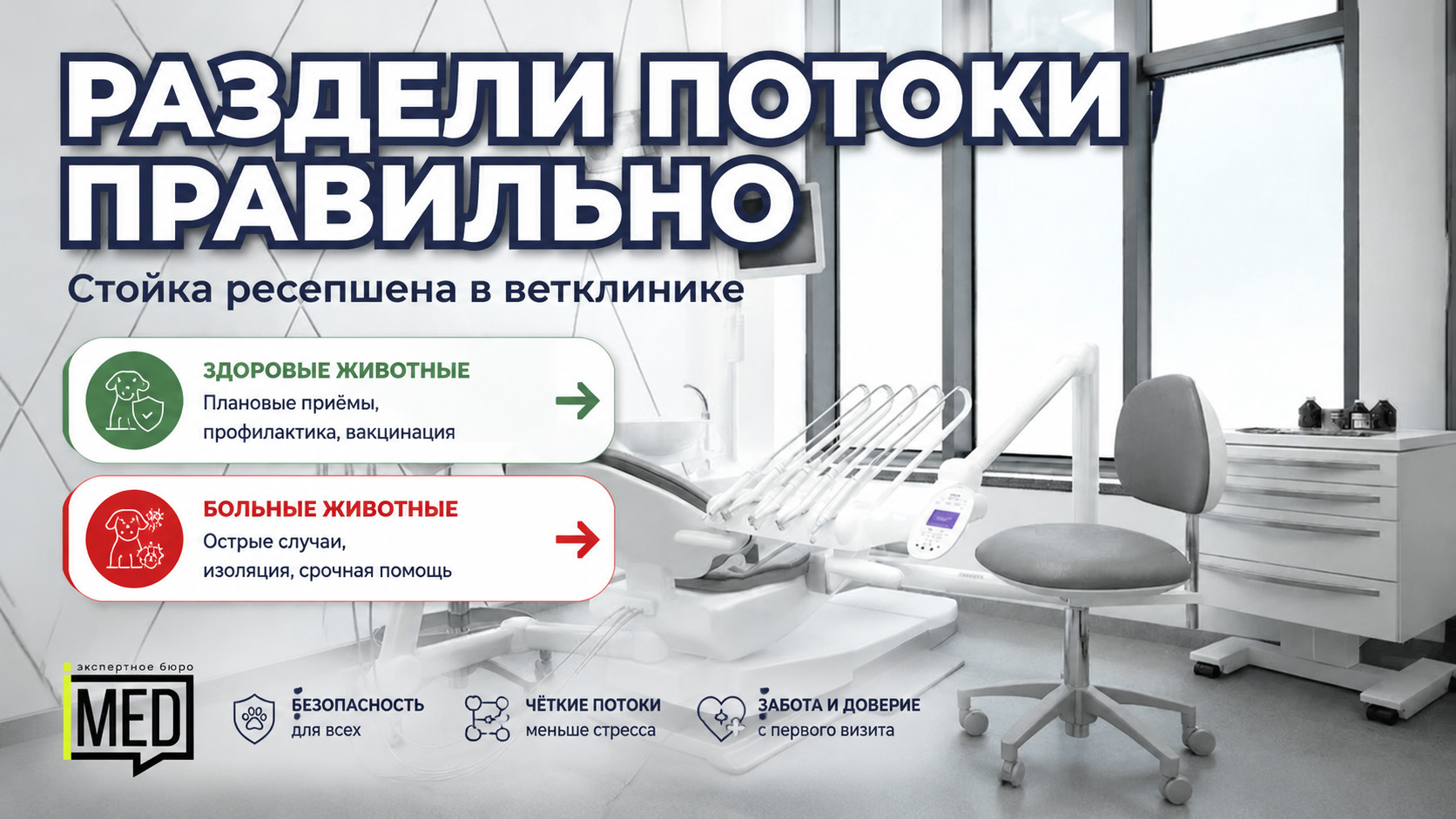 Стойка ресепшена в ветеринарной клинике для животных, разделение больных и здоровых